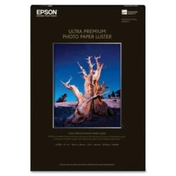 Epson® Epson Luster Photo Paper