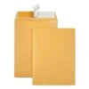 Quality Park Redi-Strip Catalog Envelope, #10 1/2, Cheese Blade Flap, Redi-Strip Adhesive Closure, 9 X 12, Brown Kraft, 100/Box -Office Supplies Shop 1ea7e1ff251fe5cee02be62b3af5e08118