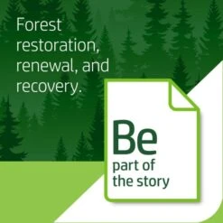 HP LaserJet Paper, 100 Brightness, 24 Lb, 8 1/2 X 11, Ultra White, 500 Sheets/Ream -Office Supplies Shop 24d6cbe8e8573eff47986d37b97505c5ca