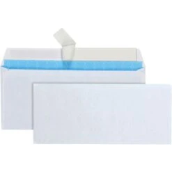 Quality Park No. 10 Treated Security Envelopes With Redi-Strip Self-Sealing Closure