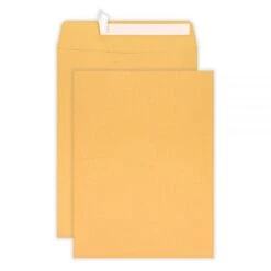 10" X 13" Manila Catalog Envelopes, Clean Seal, Brown Kraft, Box Of 100