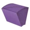 Smead Heavy-Duty Indexed Expanding Open Top Color Files, 21 Sections, 1/21-Cut Tabs, Letter Size, Purple -Office Supplies Shop 3928cde2dc2700333927779912603fb236