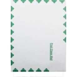 Quality Park Ship-Lite Envelope, First Class, #13 1/2, Cheese Blade Flap, Redi-Strip Adhesive Closure, 10 X 13, White, 100/Box -Office Supplies Shop 3d2fc5afe51564c5333f611a619d5b03ed