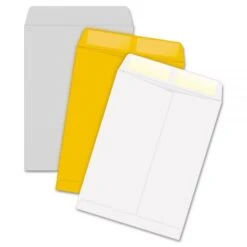 Quality Park Catalog Envelope, 28 Lb Bond Weight Kraft, #10 1/2, Square Flap, Gummed Closure, 9 X 12, White, 100/Box 5 Quality Park Catalog Envelope, 28 Lb Bond Weight Kraft, #10 1/2, Square Flap, Gummed Closure, 9 X 12, White, 100/Box -Office Supplies Shop 5f1f0477768133c82b698b955c084006a7