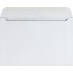 Quality Park Open-Side Booklet Envelope, #6 1/2, Hub Flap, Gummed Closure, 6 X 9, White, 100/Box -Office Supplies Shop 6eff11d9ef5d18e55fa0db7efbe303d260