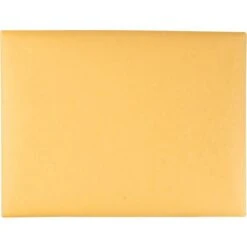 Quality Park Redi-File Clasp Envelope, #90, Cheese Blade Flap, Clasp/Gummed Closure, 9 X 12, Brown Kraft, 100/Box -Office Supplies Shop 9f83efba24cb6cdbbd4138187b86a3d38a