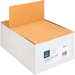 Business Source 6" X 9" Catalog Envelopes -Office Supplies Shop b042b644a96442781fca6fced3b7a23f72