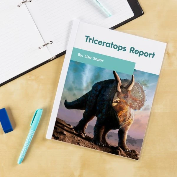 Avery Non-Slip Sliding Bar Clear Report Covers 11 Avery Non-Slip Sliding Bar Clear Report Covers - Image 9