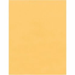 Quality Park Redi-Seal Catalog Envelope, #15 1/2, Cheese Blade Flap, Redi-Seal Adhesive Closure, 12 X 15.5, Brown Kraft, 100/Box -Office Supplies Shop e0652bb9569c900b00f09e8ab5d399e945
