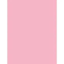 Sparco Premium-Grade Colored Paper - 20 Lb., 8.5" X 11", Pink, 500 Sheets 9 Sparco Premium-Grade Colored Paper - 20 Lb., 8.5" X 11", Pink, 500 Sheets -Office Supplies Shop f9183b05e63bcbf2d9d23b3949f301fdc3