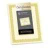 Southworth Premium Foil Certificates, 8 1/2" X 11", 66 Lb, Ivory/Gold Foil Fleur, Pack Of 15 -Office Supplies Shop feee4b14bb0d49349ecfa6aa618aa3c709